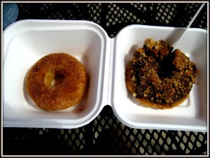 gluten-free vegan disney world - baby cakes doughnuts