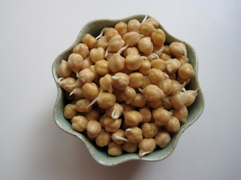 sprouted chickpeas2