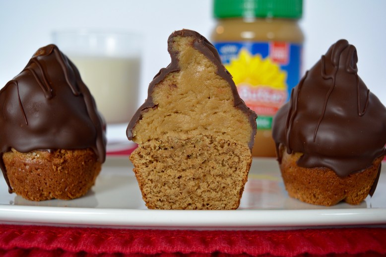 Sunbutter Blondie HiHats - Cross Section